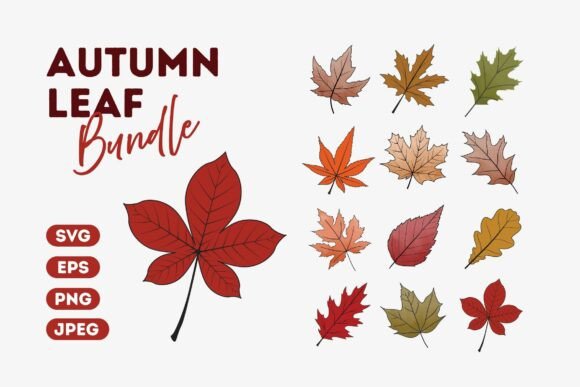 Download Fall Foliage Clipart - Fall foliage Collection